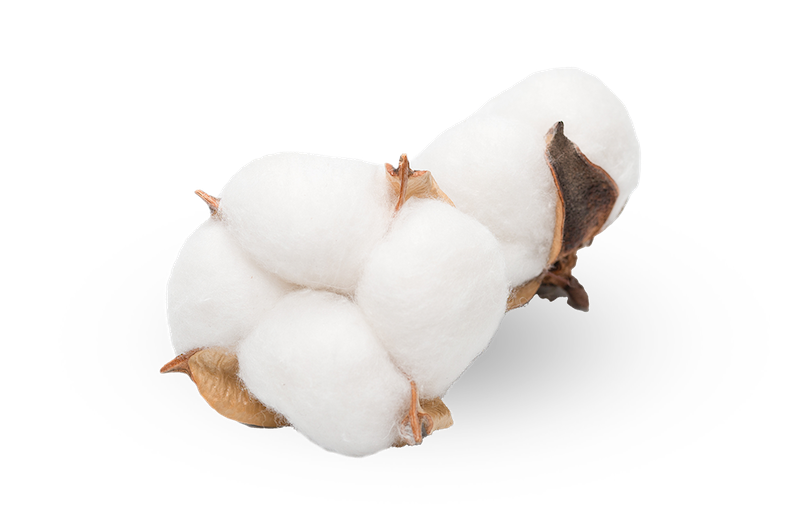 Celoletna odeja Organic Cotton-Wool iz bombaža