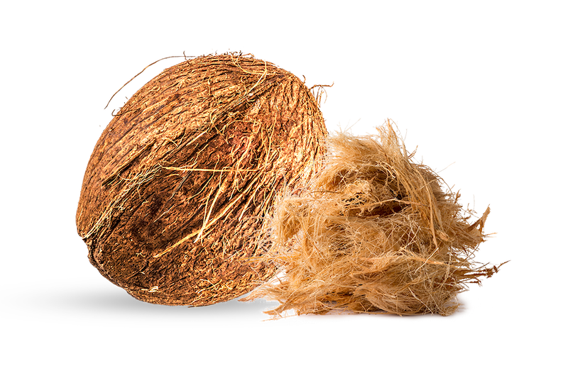 Ležišče Jantar Natur - plast kokosa
