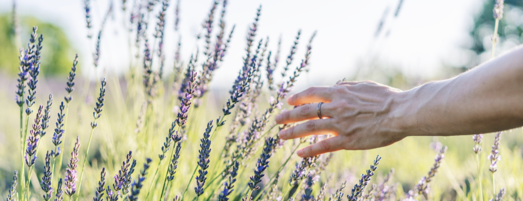 podaljšanje certifikata OEKO-TEX