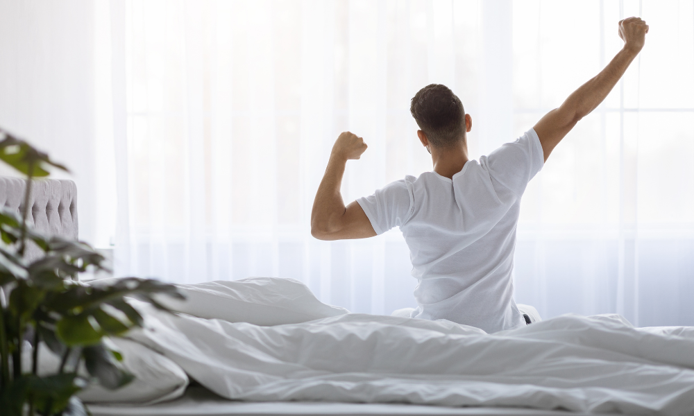 podaljšanje certifikata OEKO-TEX