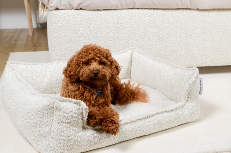 mebloJOGI® Ležišče Cozy Pets