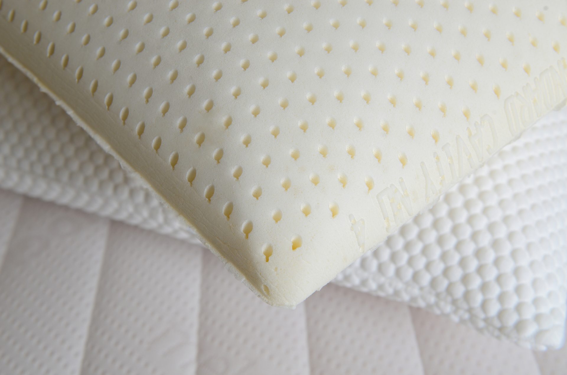 talalay lateks